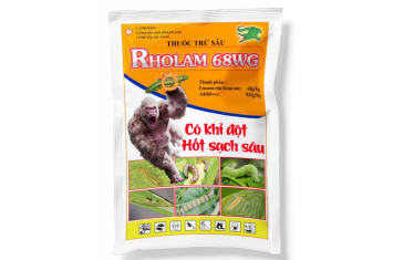 RHOLAM 68WG