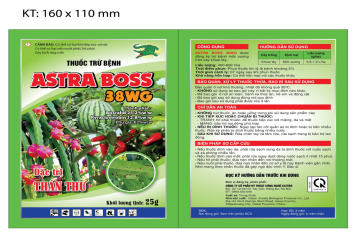 ASTRA BOSS 38WG